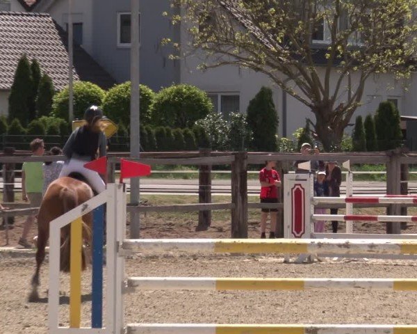 Reitturnier Poxdorf/Ofr 2025