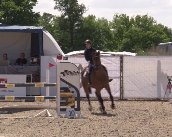 Reitturnier Poxdorf/Ofr 2025