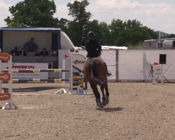 Reitturnier Poxdorf/Ofr 2025