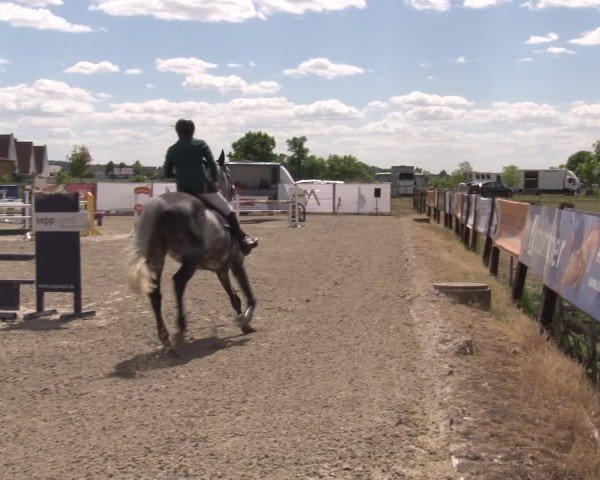 Reitturnier Poxdorf/Ofr 2025