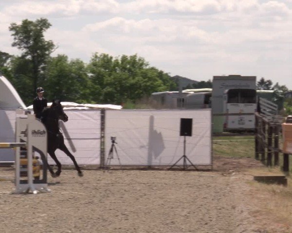 Reitturnier Poxdorf/Ofr 2025