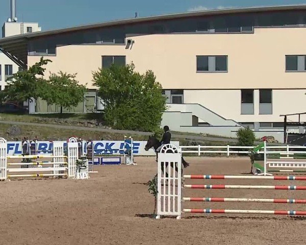 Reitturnier Kreuth/Opf. 2025