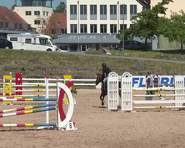 Reitturnier Kreuth/Opf. 2025