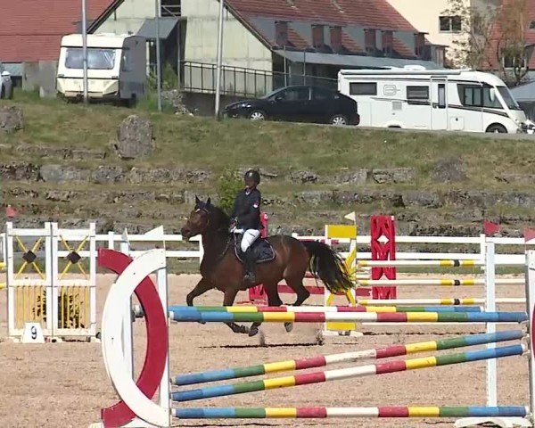 Reitturnier Kreuth/Opf. 2025