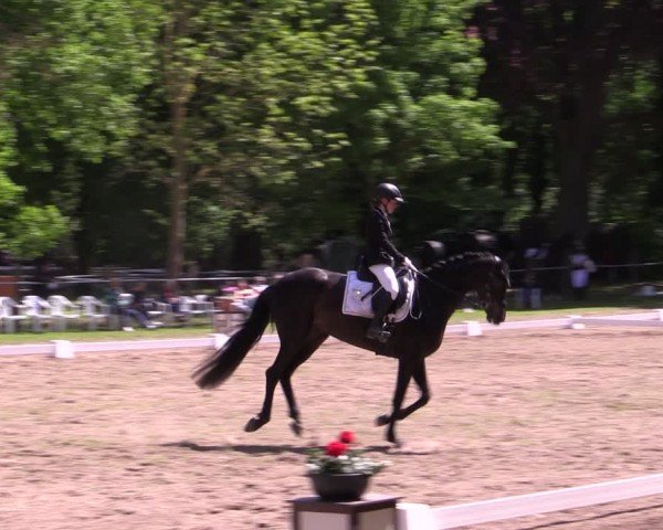 Reitturnier Helmsdorf 2025