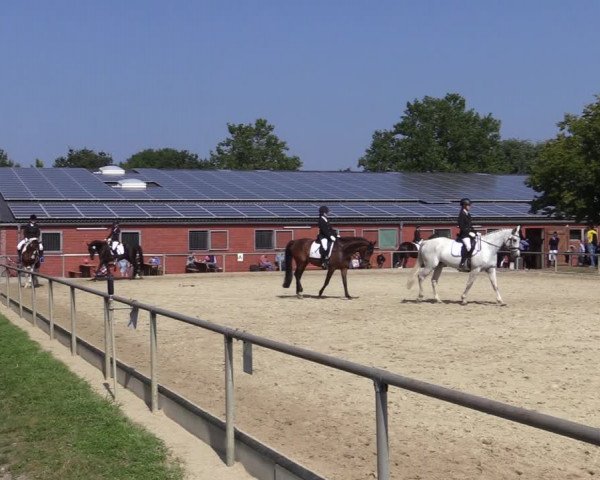 Reitturnier Ascheberg 2021