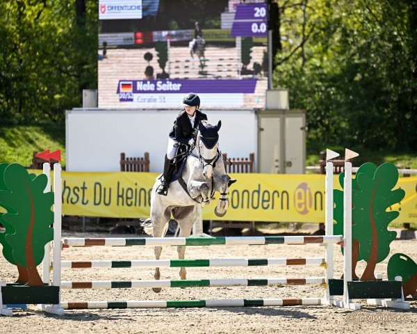 Nele Seiter