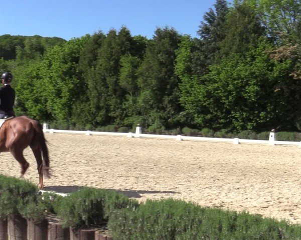 Reitturnier Lindlar - Reitanlage Dückers 2025