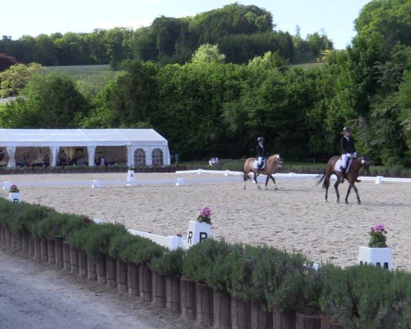 Reitturnier Lindlar - Reitanlage Dückers 2025
