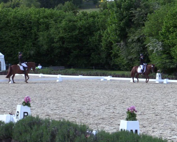 Reitturnier Lindlar - Reitanlage Dückers 2025