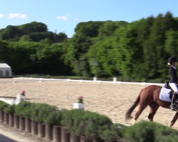Reitturnier Lindlar - Reitanlage Dückers 2025