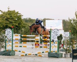 Springpferd Chicago 221 (Oldenburger Springpferd, 2017, von Chacoon Blue)