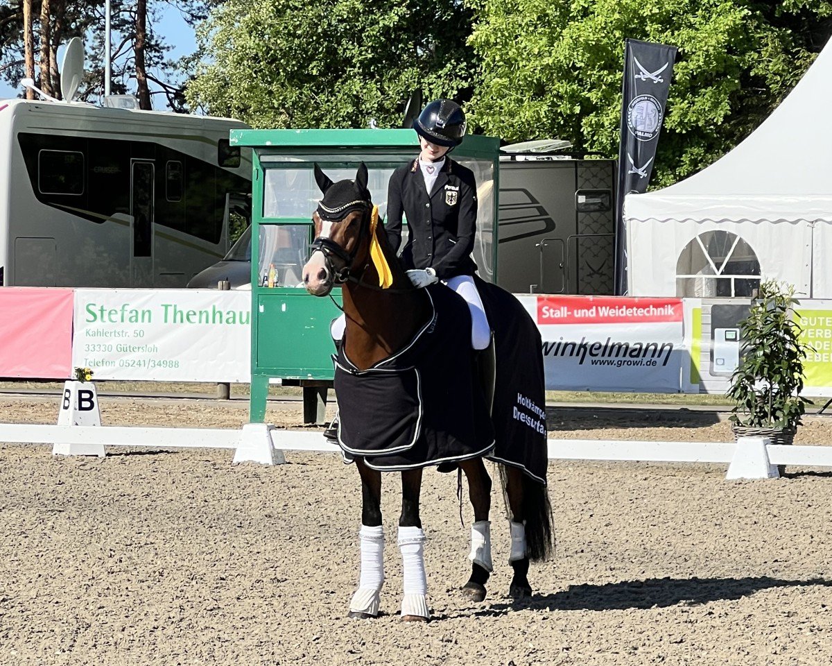 dressage horse MuscleBeach (German Riding Pony, 2017, from FS Mr. Right)