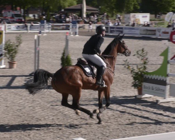 Reitturnier Babenhausen 2025