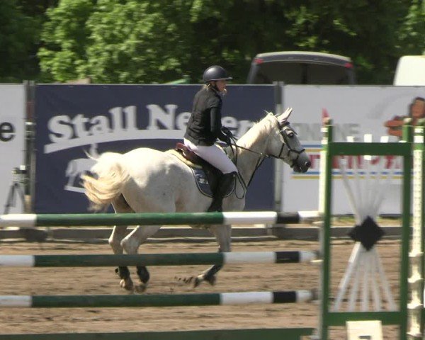 Reitturnier Lentzke - Reitanlage Krehl 2025