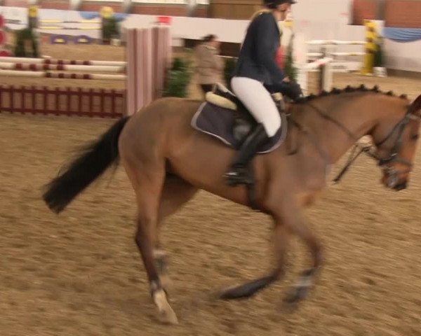 Hallen-Springturnier Greven 2014