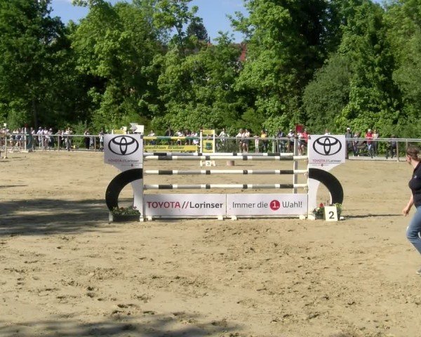 Reitturnier Winnenden 2025