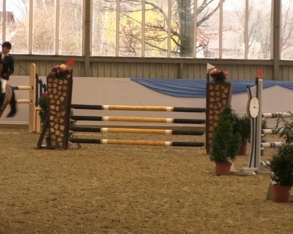 Hallen-Springturnier Greven 2014