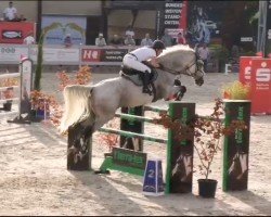 Springpferd Wicked Echo (Irish Sport Horse, 2011, von Fortunus)