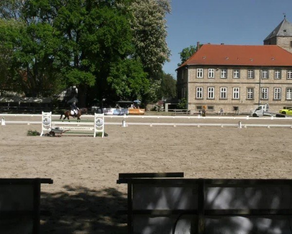 Reitturnier Hildesheim-Steuerwald 2025