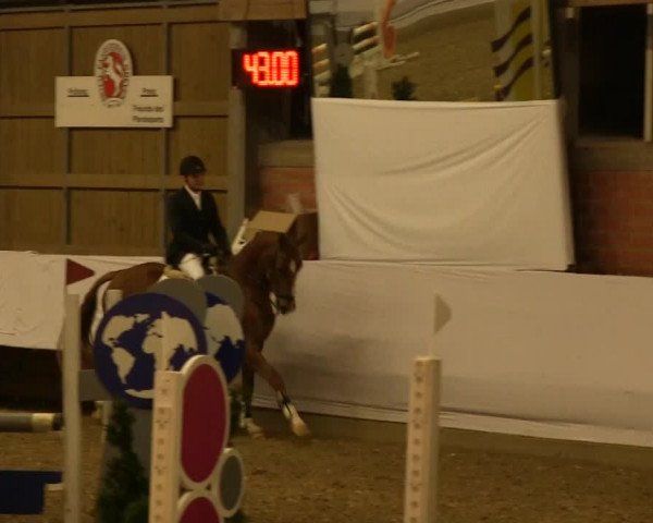Hallen-Springturnier Greven 2014