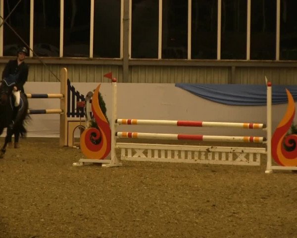 Hallen-Springturnier Greven 2014