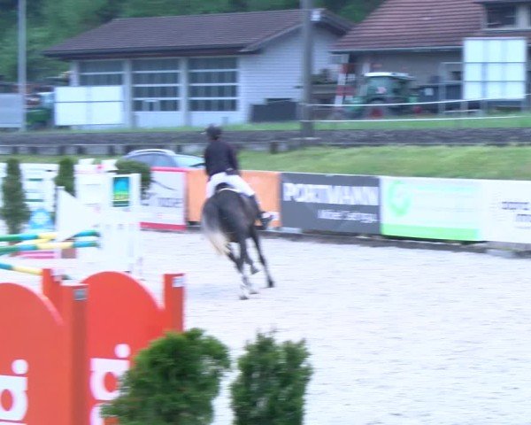 Reitturnier Schüpfheim 2025