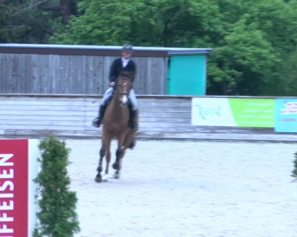Reitturnier Schüpfheim 2025