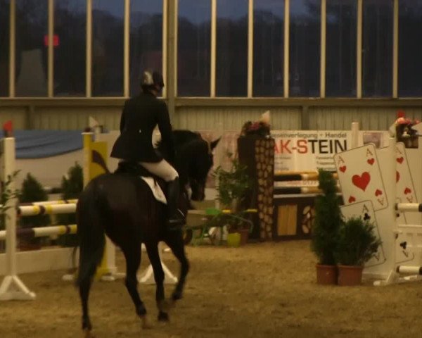 Hallen-Springturnier Greven 2014