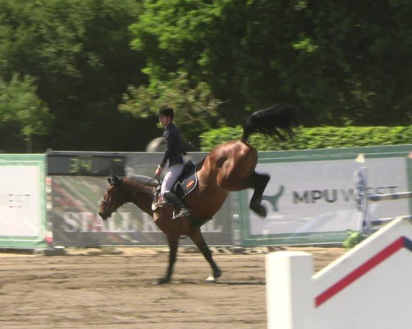 Reitturnier Lentzke - Reitanlage Krehl 2025
