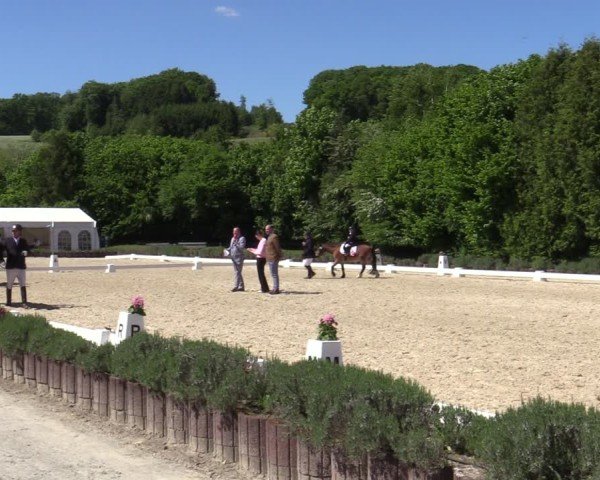 Reitturnier Lindlar - Reitanlage Dückers 2025
