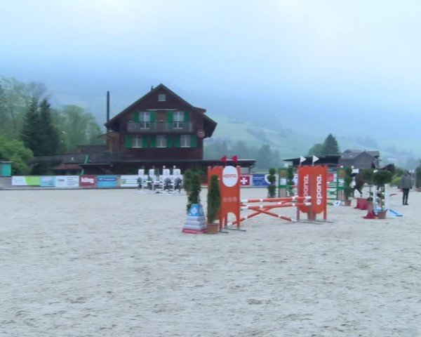 Reitturnier Schüpfheim 2025