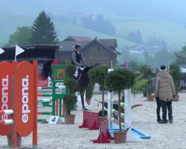 Reitturnier Schüpfheim 2025