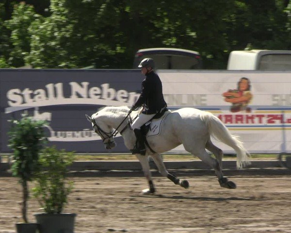 Reitturnier Lentzke - Reitanlage Krehl 2025