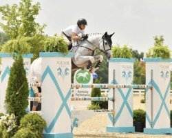 jumper Doutzen (KWPN (Royal Dutch Sporthorse), 2008, from Zirocco Blue)