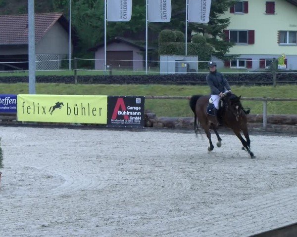 Reitturnier Schüpfheim 2025