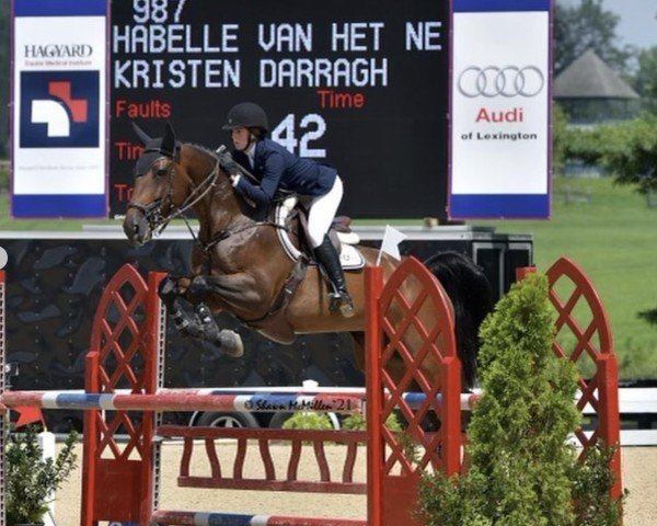 jumper Habelle van het Netehof (Belgian Warmblood, 2007, from Darco)