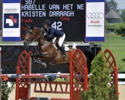 jumper Habelle van het Netehof (Belgian Warmblood, 2007, from Darco)