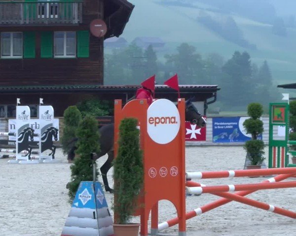 Reitturnier Schüpfheim 2025