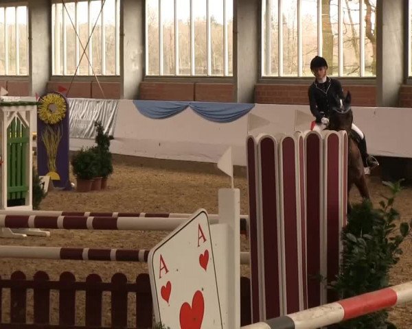Hallen-Springturnier Greven 2014