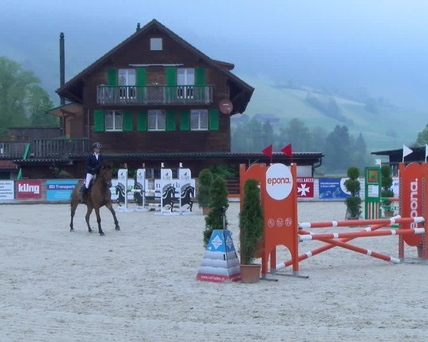 Reitturnier Schüpfheim 2025