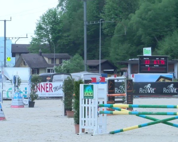 Reitturnier Schüpfheim 2025