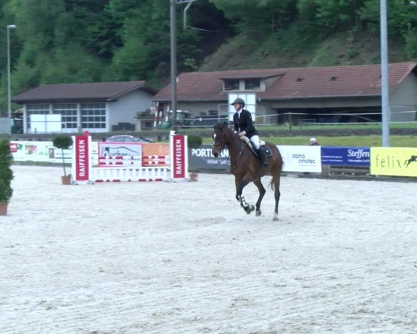 Reitturnier Schüpfheim 2025