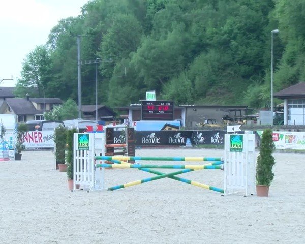 Reitturnier Schüpfheim 2025