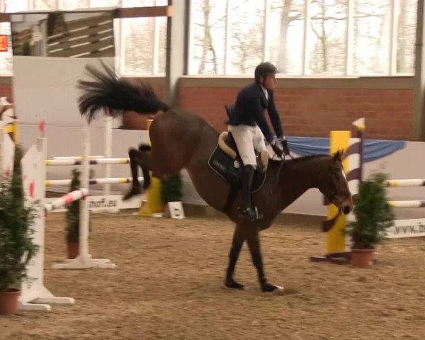 Hallen-Springturnier Greven 2014