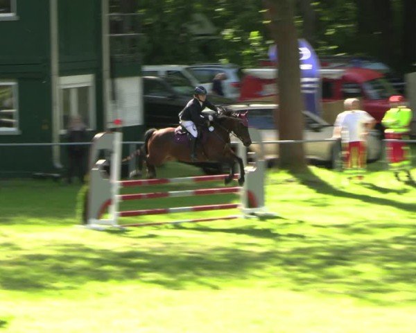 Reitturnier Helmsdorf 2025