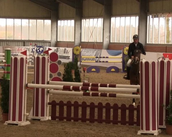 Hallen-Springturnier Greven 2014