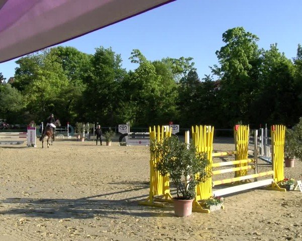 Reitturnier Winnenden 2025