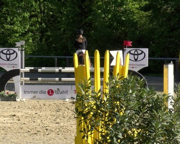 Reitturnier Winnenden 2025