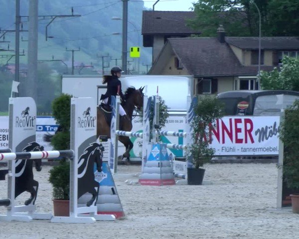 Reitturnier Schüpfheim 2025